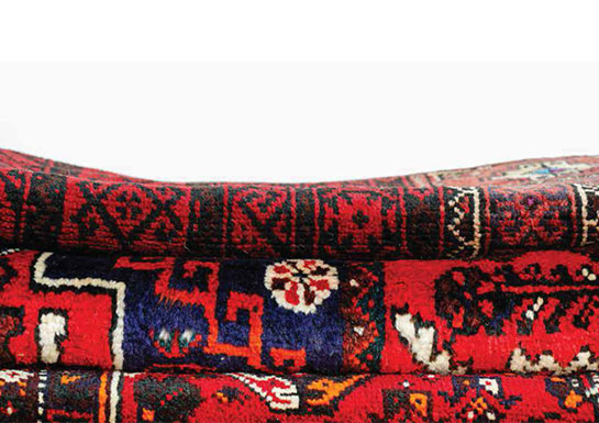 تاثیر فرش و گیاه در چیدمان